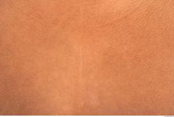 Photo Textures of Human Skin